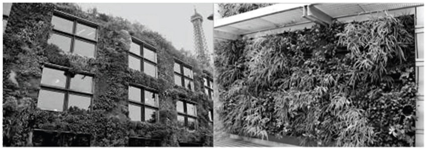Exemplos de paredes vivas ou living walls. A esquerda, fachada viva com manta e a direita fachada viva com módulo.