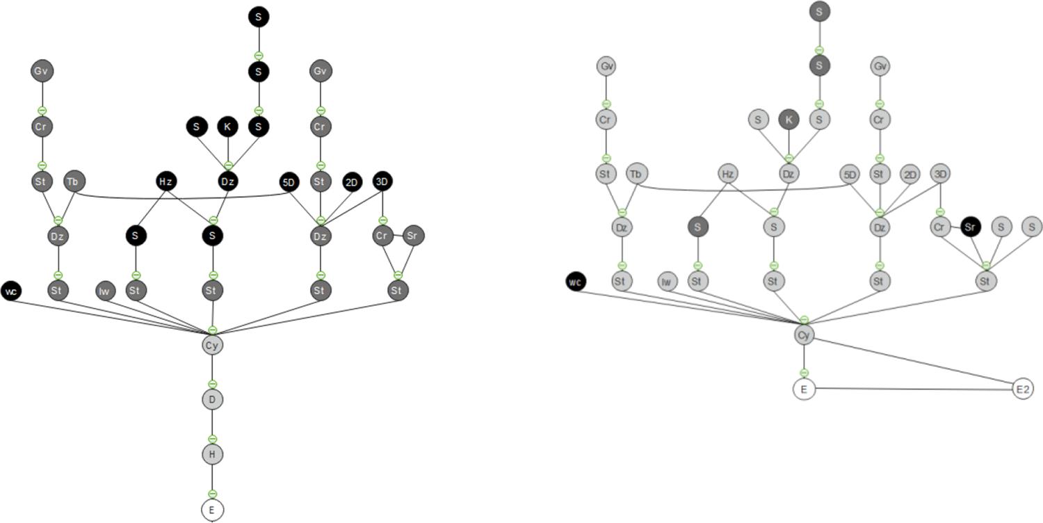Privacy graphs of Sarraflar house whitin original and reused state