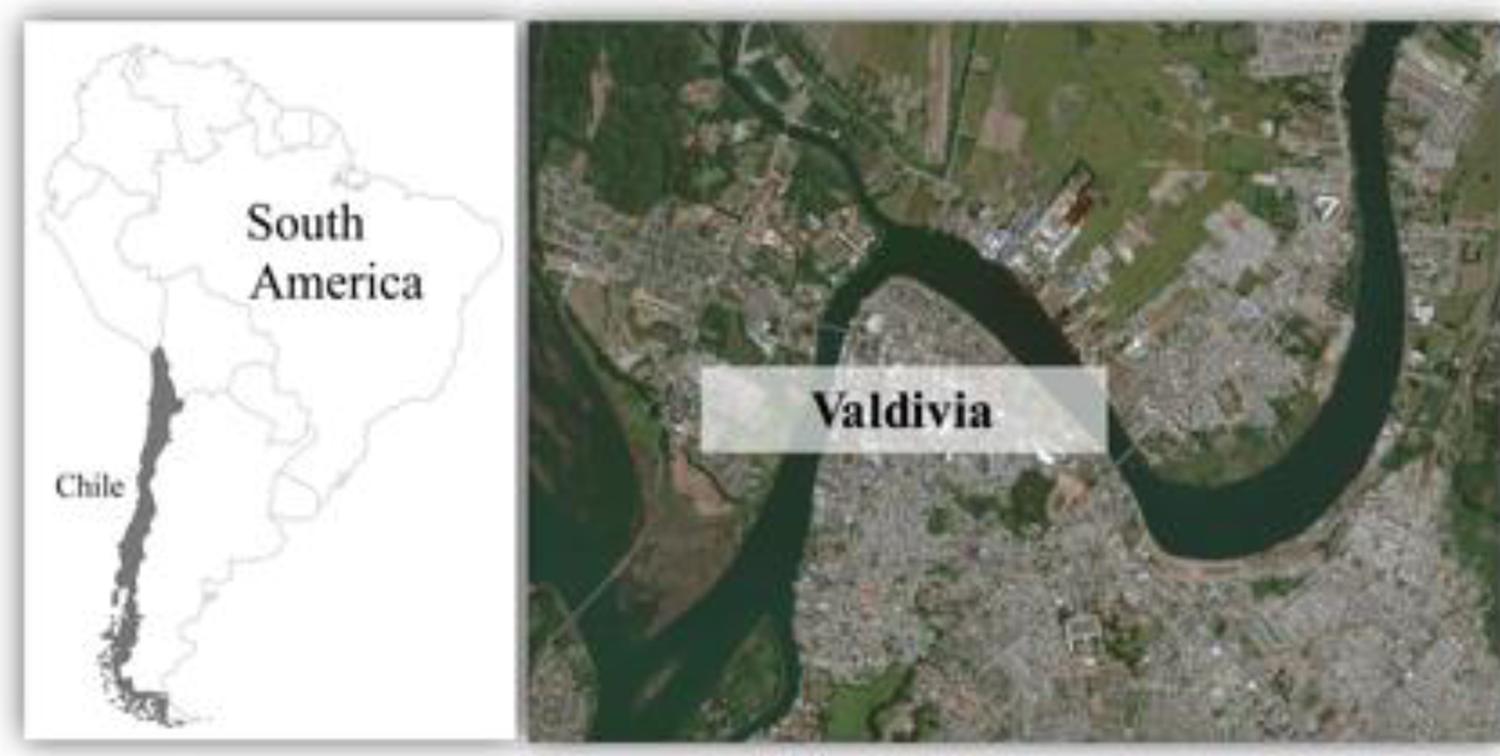 Location of the 20 case studies in Valdivia (Chile).