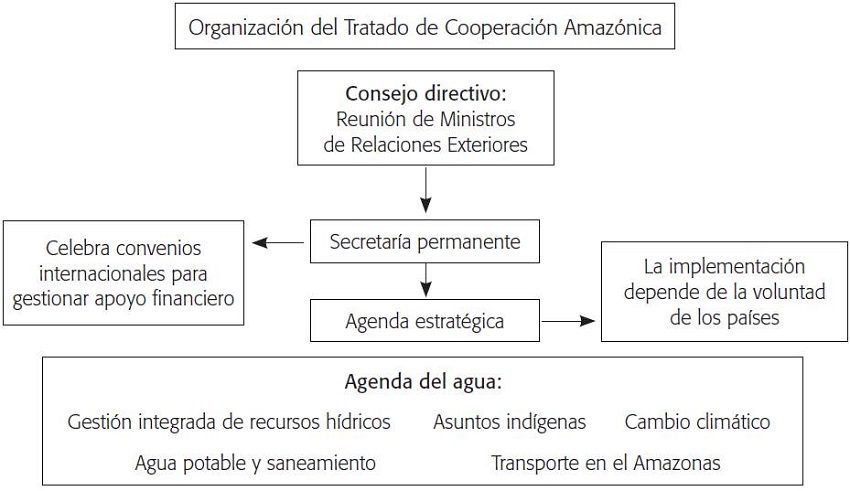 Estructura de la OTCA