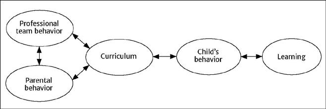 Representation of interlocking behavioral contingencies in the
                            interdisciplinary service outlined in analytical behavioral
                            principles.