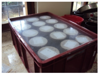 Probetas cil&iacute;ndricas en tanques de curado.