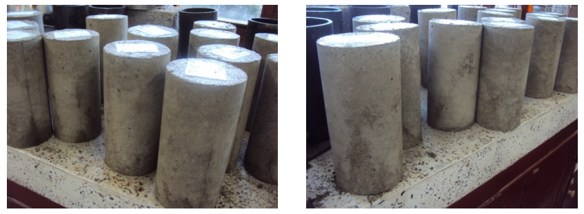 Aspecto f&iacute;sico de las probetas desencofradas para llevar a tanque de curado.