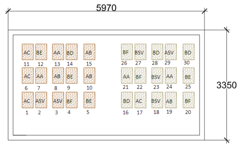 Distribuci&oacute;n aleatoria de los canteros experimentales.