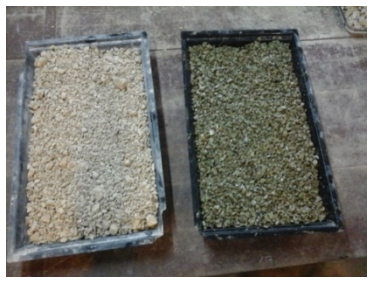 Diferencias entre la zeolita antes y despu&eacute;s del lavado.