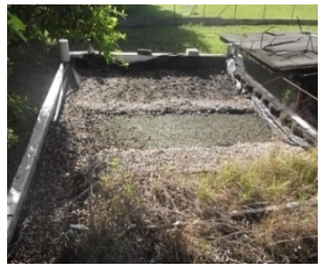 Enyerbamiento, contaminaci&oacute;n y p&eacute;rdida sustrato.