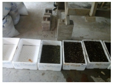 Colocaci&oacute;n del sustrato B