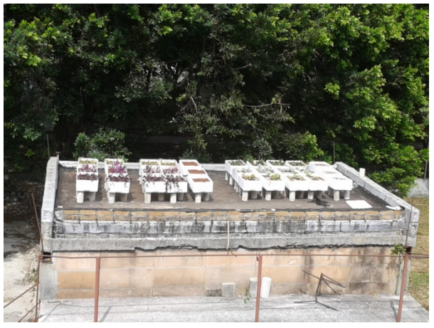 Vista general de la cubierta con canteros experimentales.