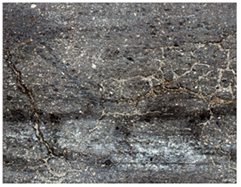 eCognition con el nuevo proyecto creado.