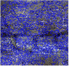 Resultado de la segmentaci�n de la imagen.