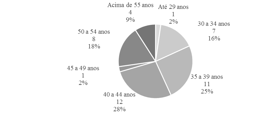 Perfil de faixa etária dos responsáveis pelas equipes