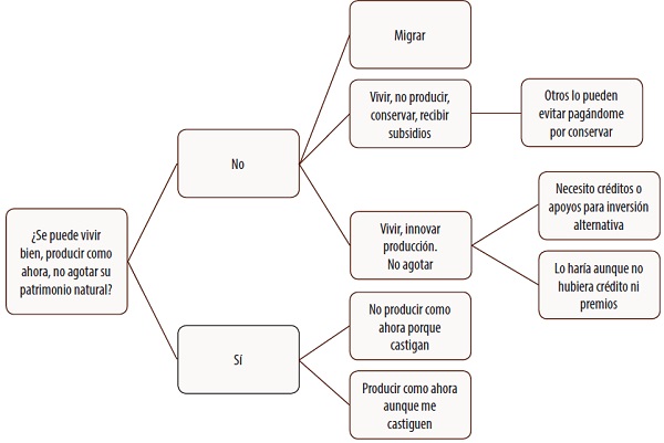 Árbol de opiniones que resume la situación actual de jóvenes del ejido Los Ángeles, Reserva de la Biosfera la Sepultura, Chiapas. Elaboración propia.