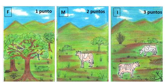 Tarjetas de tres diferentes usos de suelo donde: F=forestal, M= ganadería moderada e I= ganadería intensiva). 