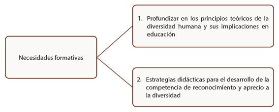 Necesidades formativas de los docentes y las docentes para desarrollar la competencia de diversidad.