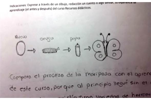 Interpretación. El dibujo expresa el proceso de la mariposa, cómo ha ido creciendo y pasando por las diferentes etapas de vida hasta transformarse en una bella mariposa que seguirá explorando e implementando en las futuras clases como estudiante.