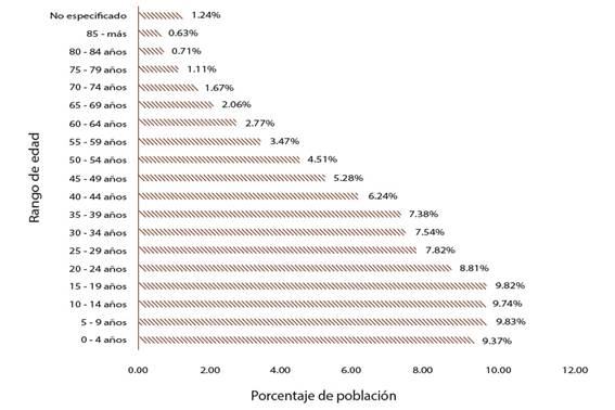 Estructura de la población por edades en México.