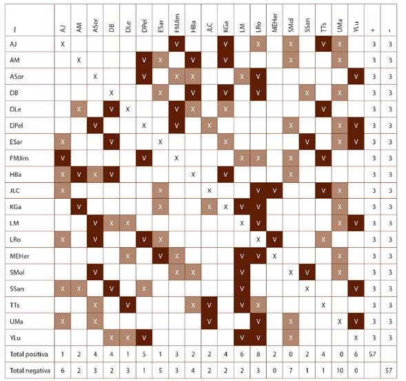Matriz sociom&eacute;trica &ldquo;Dominio social&rdquo;
