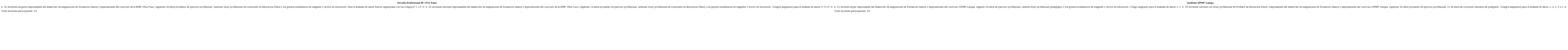 Características de docentes participantes