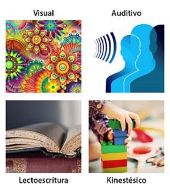 Representaci&oacute;n gr&aacute;fica de los sistemas sensoriales