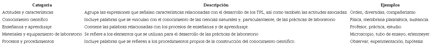 Categor&iacute;as resultantes del procesamiento de la t&eacute;cnica de frases incompletas