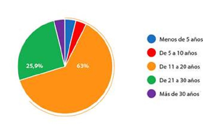 Experiencia docente del profesorado participante