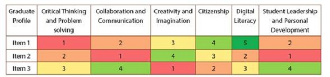 Example of the analysis for the graduate profile matrix*