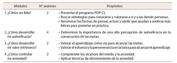 Organizaci&oacute;n del programa PDP adaptado al contexto chileno