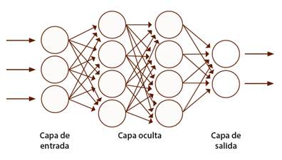 Arquitectura típica de una red neuronal