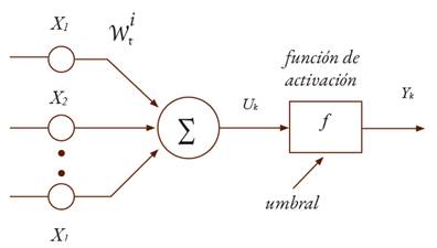 Modelo no lineal de una neurona