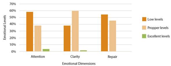 Levels of students in TMMS- 24 pretest