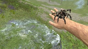 Escenario de fobia a las arañas