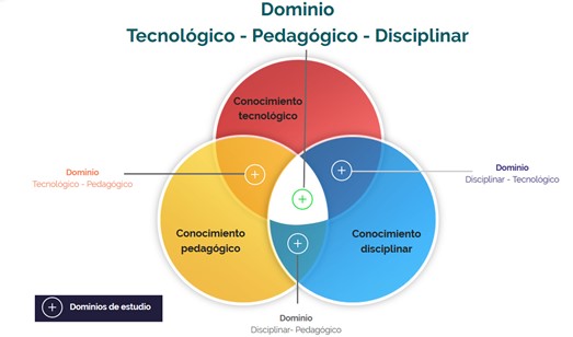 Delimitación de los dominios para la ruta de apropiación TIC