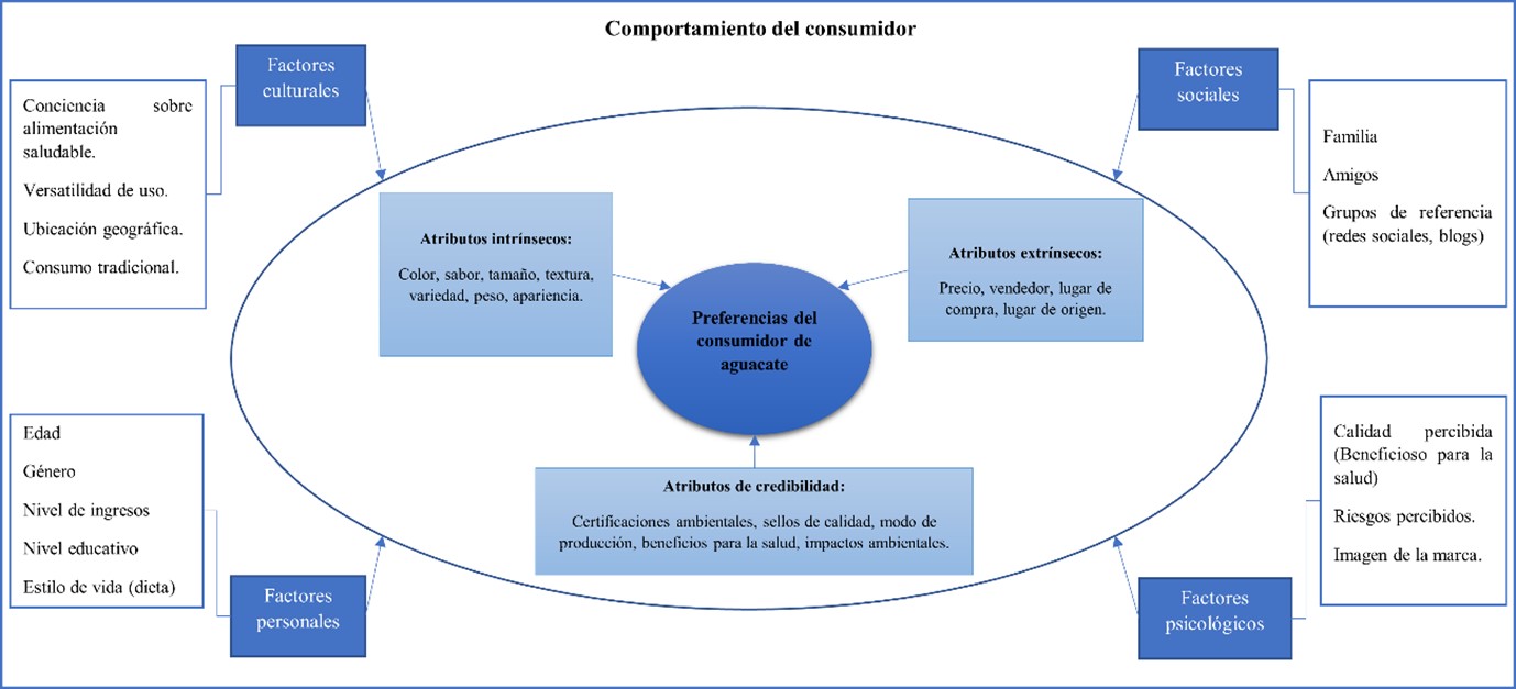 Modelo conceptual del comportamiento y las preferencias del consumidor de aguacate