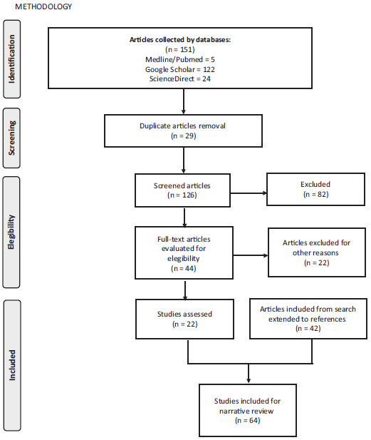 Methodology for nonsystematic review of the literature (www.prisma-statement.org).