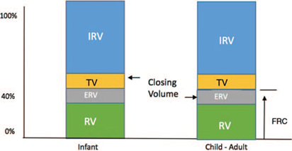 Closing volume. ERV=expiratory reserve volume; RV= residual volumen; FRC=functional residual capacity; IRV=inspiratory reserve volume; TV=tidal volume.