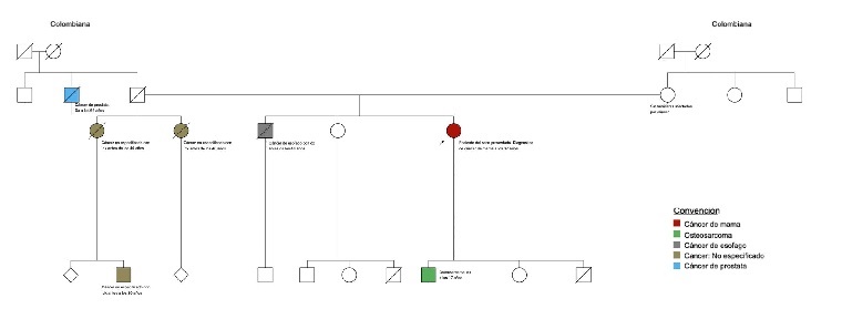 Árbol genealógico de la paciente del caso.