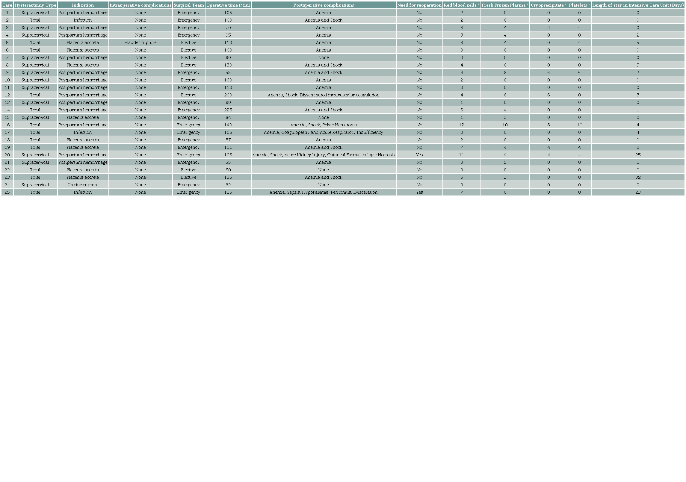 Characteristics of the surgeries performed.