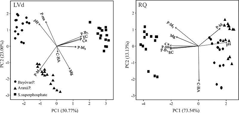 Principal component analyses between P contents extracted by Bray-1
							(P-B1), Mehlich-1 (P-M1), Mehlich-3 (P-M3), Resin (P-res), exchangeable
							contents of Ca and Mg, electrical conductivity (EC), pH in water and
							humic acid carbon concentrations (C-HA) in samples of dystrophic Red
							Latosol (LVd) and Quartzarenic Neosol (RQ)