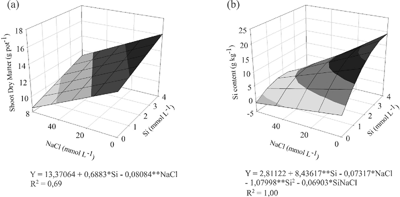 Shoot dry matter production (a) and silicon content (b) in the
								aerial part of Brachiaria brizantha &lsquo;MG5&rsquo; under Si
								and NaCl concentrations in nutrient solution for the first
								cut