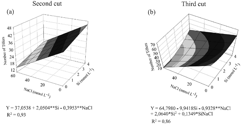 Number of tillers (a, b), height (c) and Si content (d, e) in the
								aerial part of Brachiaria brizantha &lsquo;MG5&rsquo; for
								concentrations of Si and NaCl in the nutrient solution for the
								second and third cuts