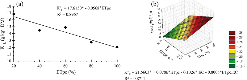 K+ ion content in leaves of young coconut plants for
different levels of water deficit (% ETpc) (a). Response surface for the
K+ ion content in roots of young coconut plants, for
combinations of different levels of water deficit (% ETpc) and soil
salinity (EC) (b)1