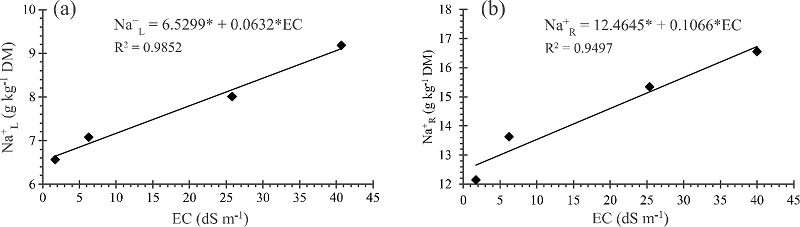 Na+ ion content in the leaves (a) and roots (b) of young
coconut plants for different levels of soil salinity (EC) at 121 days
after transplanting1