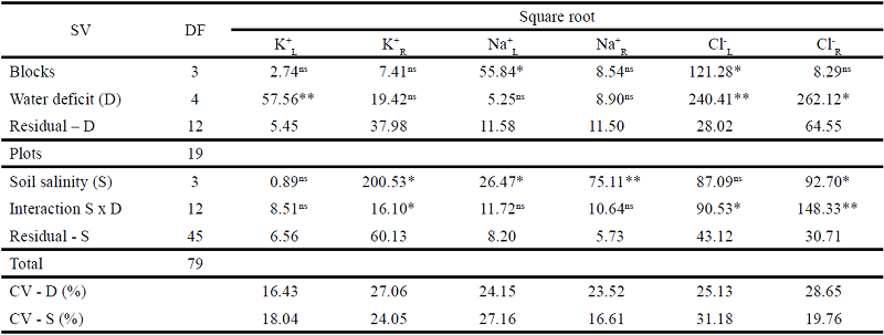 Summary of the analysis of variance for the levels of the inorganic
solutes potassium (K+), sodium (Na+) and chloride
(Cl-) in the leaves (K+L,
Na+L and Cl-L) and roots
(K+R, Na+R and
Cl-R) of young plants of the 'green dwarf' coconut
grown under different levels of water deficiency in salt-affected
soils1