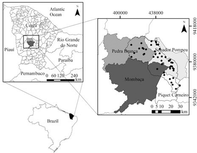Availability and spatial variability of copper, iron, manganese and