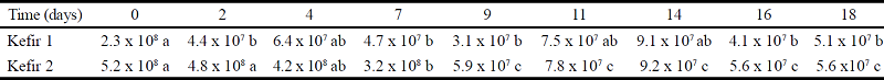 Total lactic acid bacteria counts in two formulations of fermented kefir
						milk evaluated over 18 days storage at 5 ºC ± 2 ºC expressed in
						CFU/g
