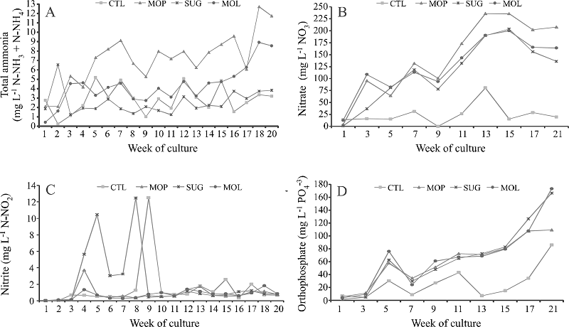 Variation in nitrogen compounds (A- total ammonia nitrogen, B-
							nitrite nitrogen, C- nitrate) and orthophosphate (D) over 145 days of
								O. niloticus tilapia culture in bioflocs with
							different sources of carbon