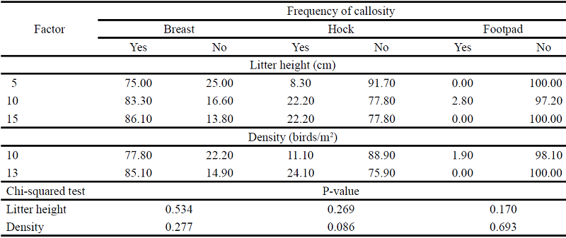 Frequency (%) of breast, hock and footpad lesions observed in broilers
						reared at two densities and with different coir-litter height