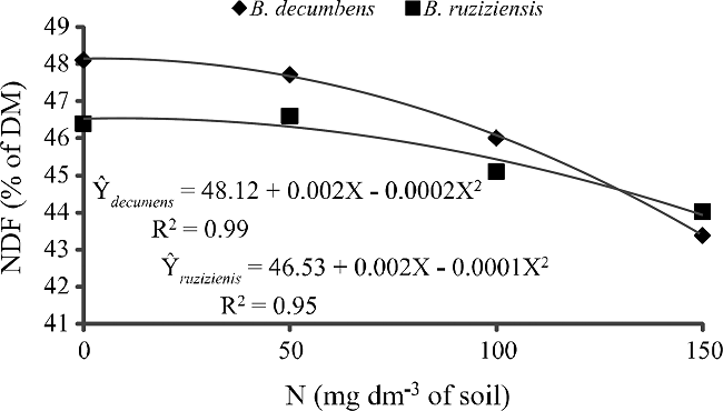 Neutral detergent fiber (NDF) content of Brachiaria
								decumbens and Brachiaria ruziziensis in
							response to nitrogen (N) doses