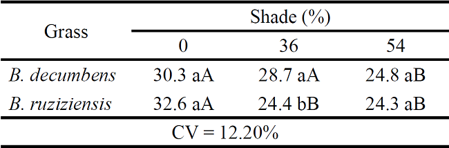 Mean values for tillers number (per pot) in Brachiaria
							decumbens e Brachiaria ruziziensis, under
						shade levels