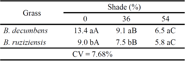 Average values of root mass (per pot) in Brachiaria
							decumbens and Brachiaria ruziziensis,under
						shade levels